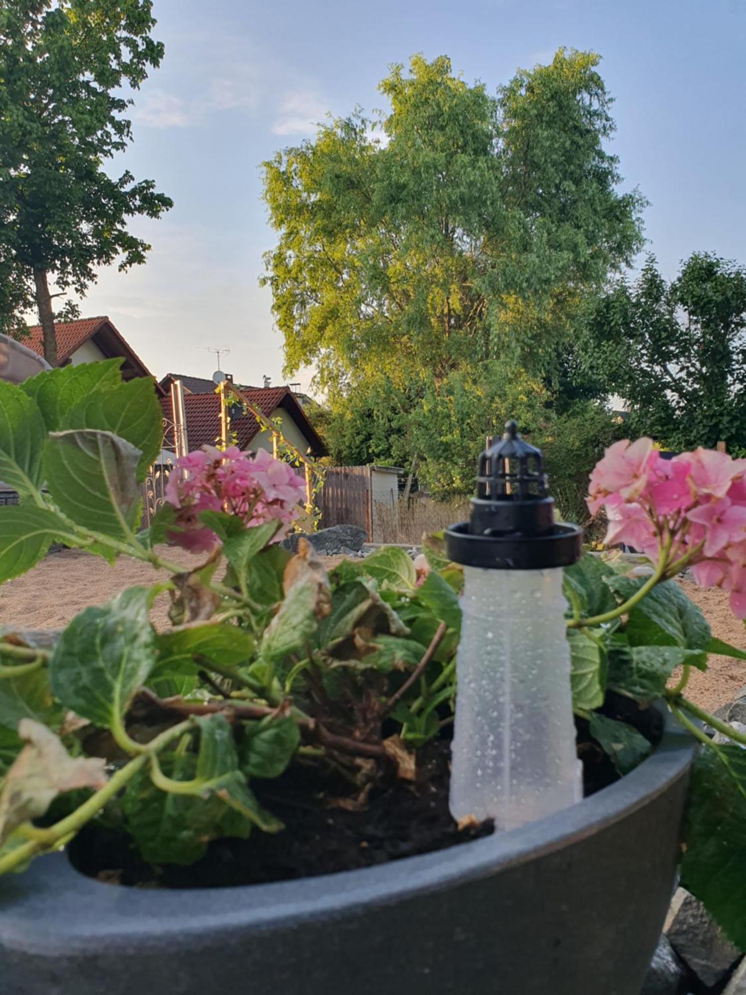 Ferienwohnung Casa Vogelsberg Schotten Exterior foto