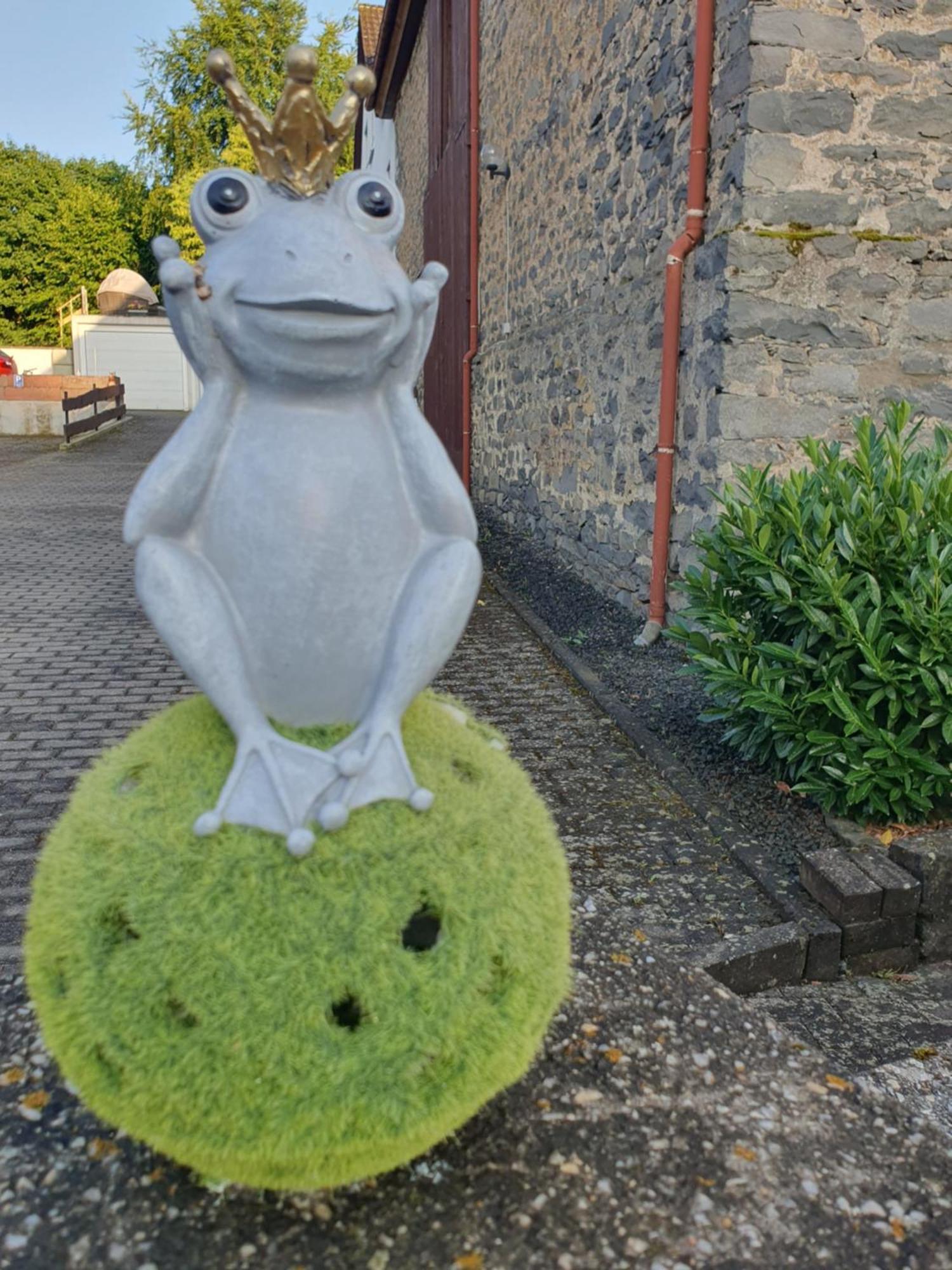 Ferienwohnung Casa Vogelsberg Schotten Exterior foto
