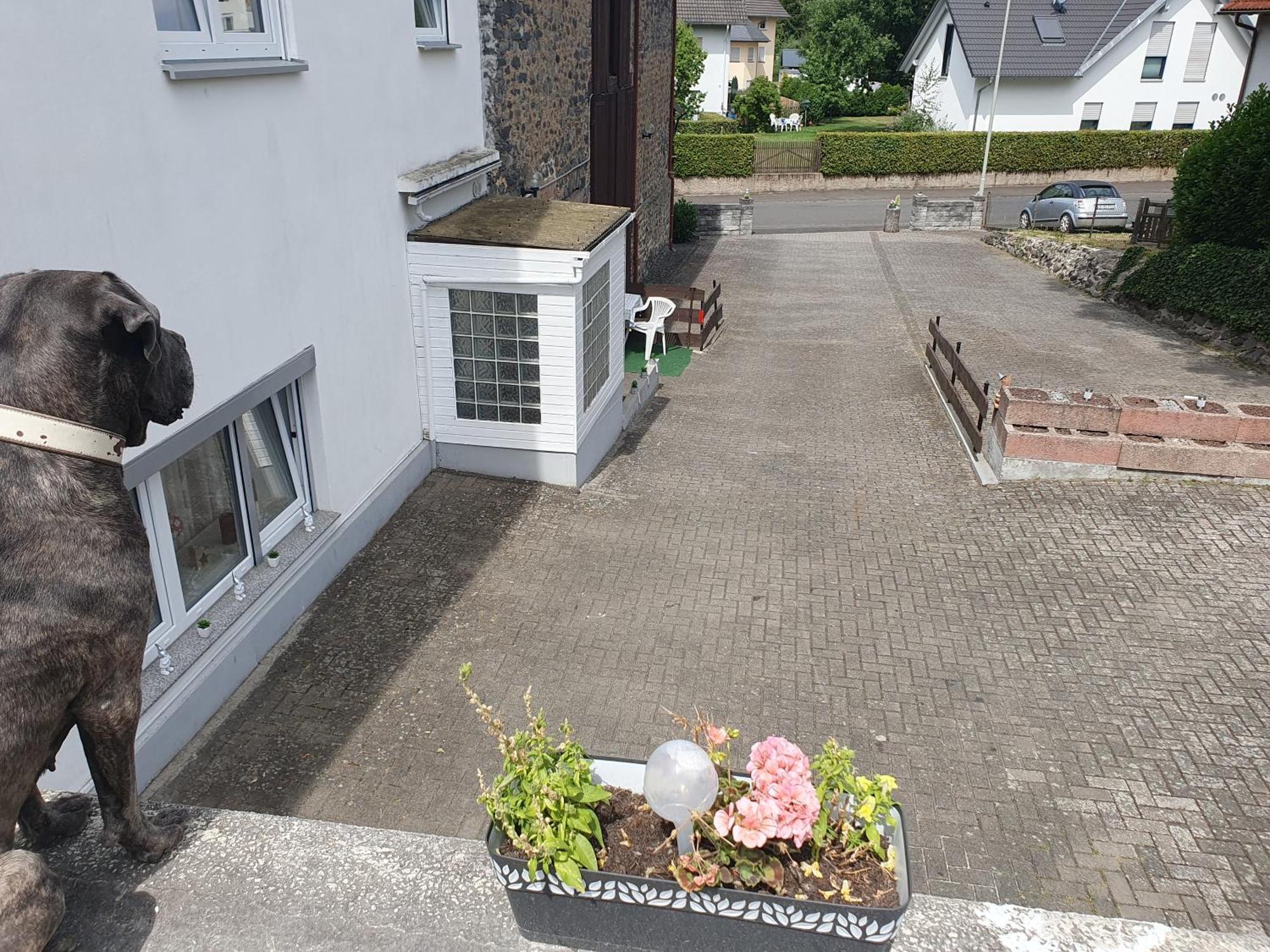 Ferienwohnung Casa Vogelsberg Schotten Exterior foto